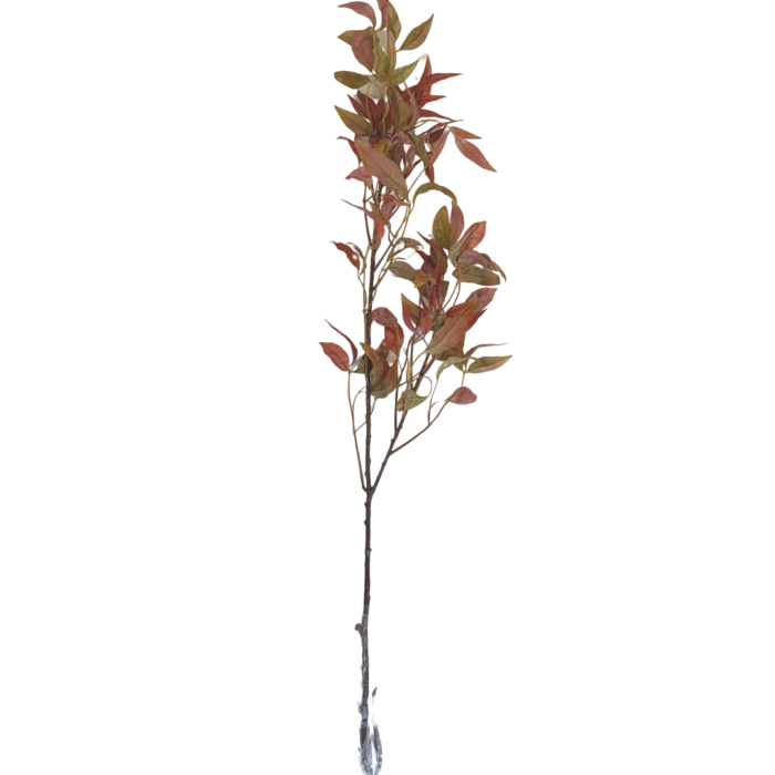 AUTUMN LEAF STEM