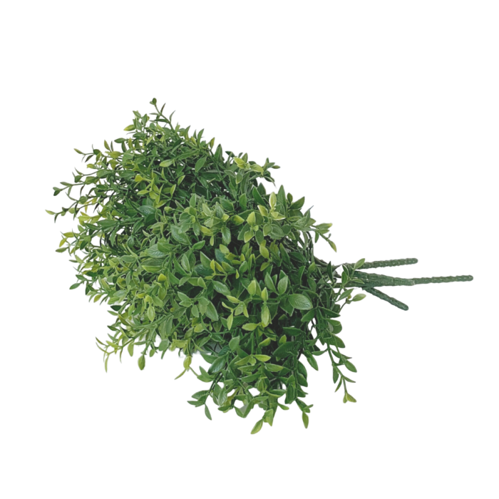 BUSHY GREEN