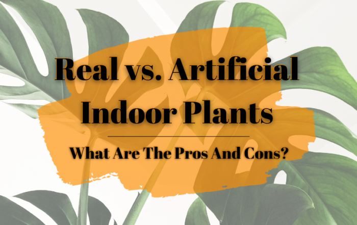 Real vs. Artificial Indoor Plants
