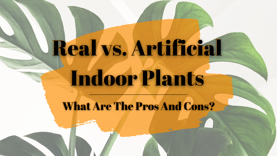 Real vs. Artificial Indoor Plants